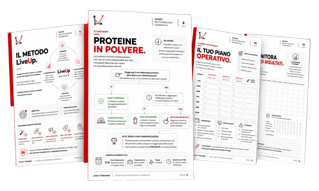 Anteprima di quattro pagine operative del Toolkit